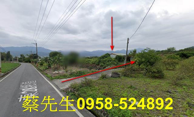 台東海端農地拍賣-4