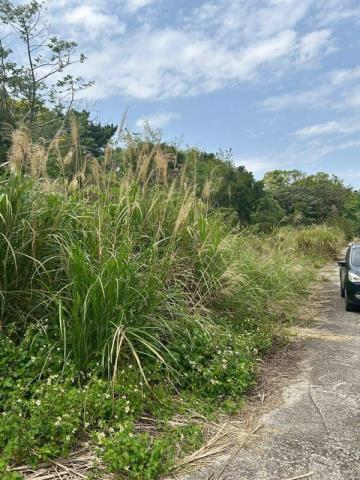 桃園大溪農地-1