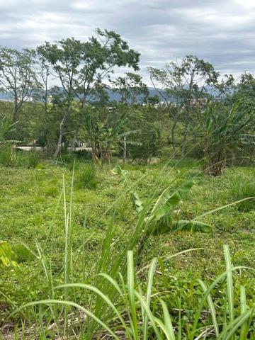 桃園大溪農地-3