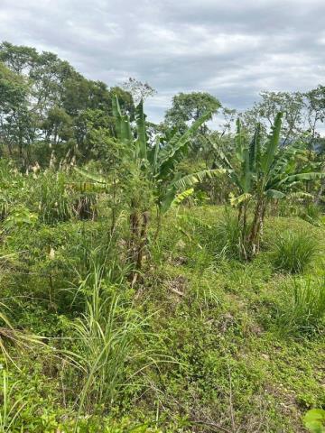 桃園大溪農地-4