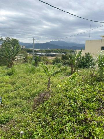 桃園大溪農地-5