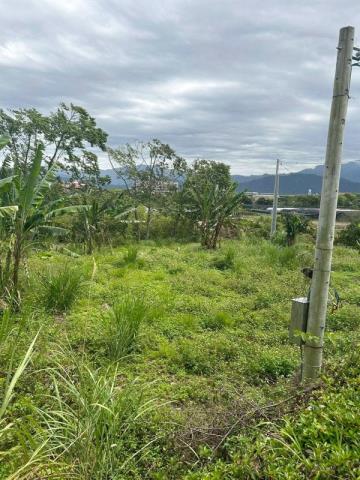 桃園大溪農地-6