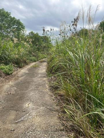 桃園大溪農地-8