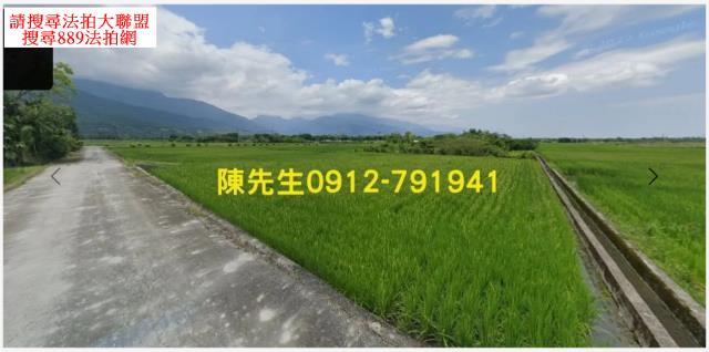 花蓮鳳林農地法拍-10