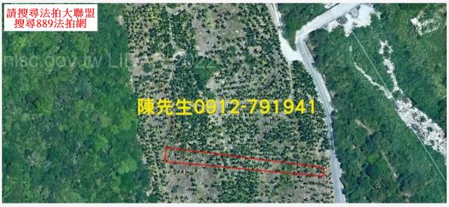 花蓮壽豐農地法拍-12