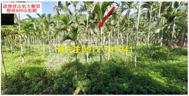 花蓮壽豐農地法拍-1
