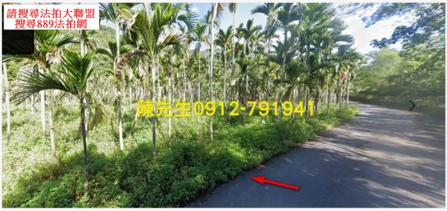 花蓮壽豐農地法拍-2