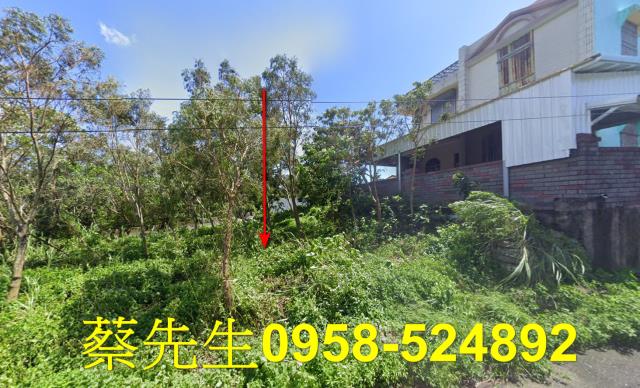 台東達仁農地法拍-12