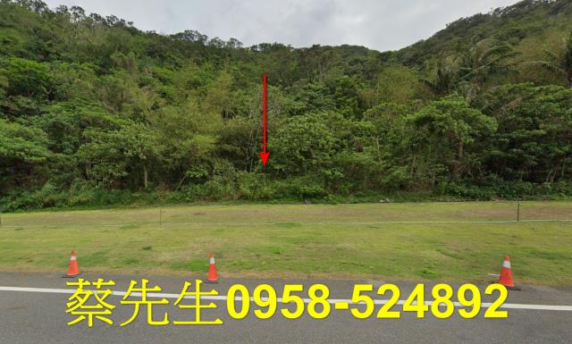 台東達仁農地法拍-7