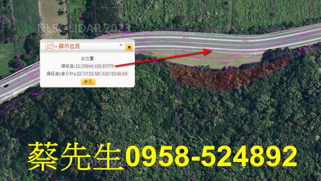 台東達仁農地法拍-8
