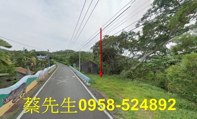 台東達仁農地法拍-9
