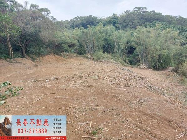 苗栗西湖農地-1