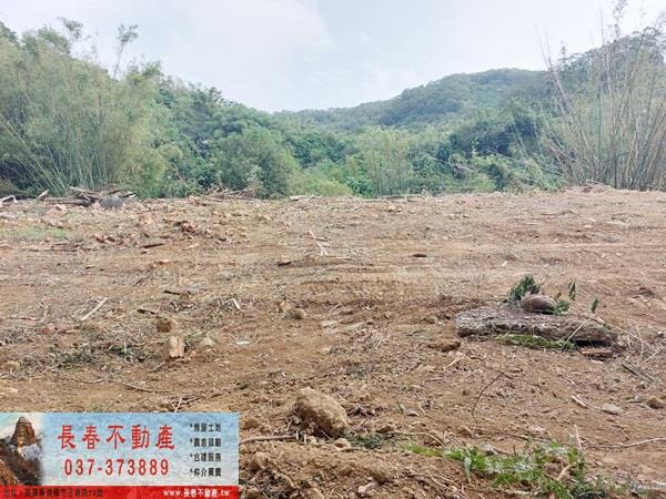 苗栗西湖農地-2