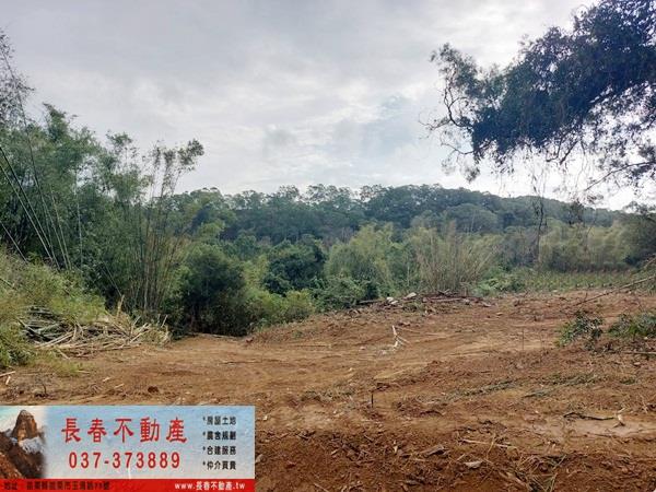 苗栗西湖農地-3