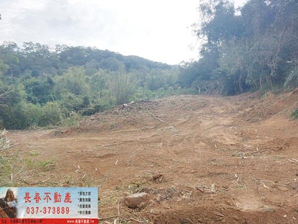 苗栗西湖農地-4