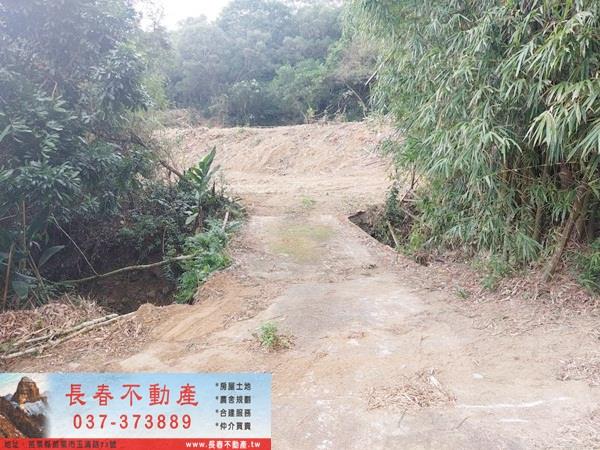 苗栗西湖農地-5