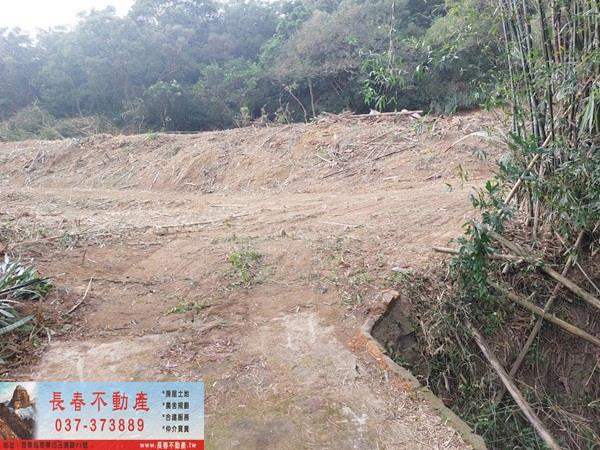 苗栗西湖農地-6