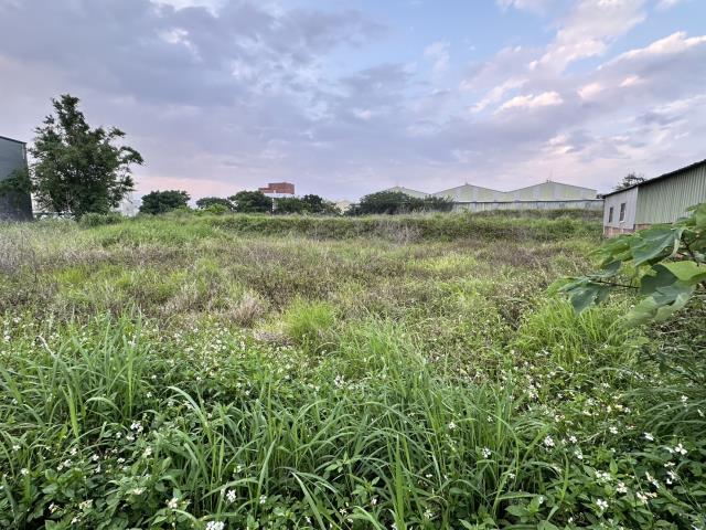 桃園觀音農地-1