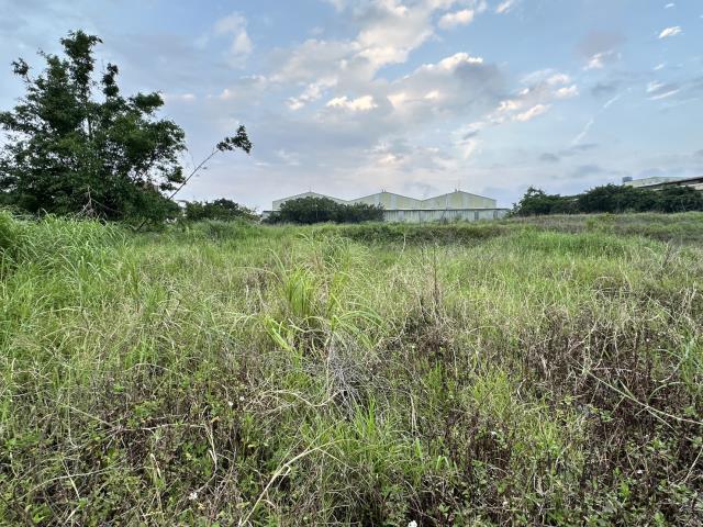 桃園觀音農地-2