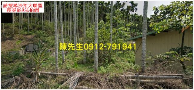 國姓農地法拍-3