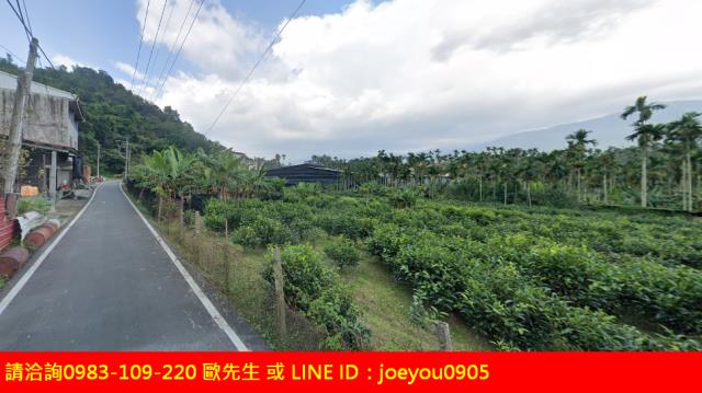 南投魚池農地法拍-12