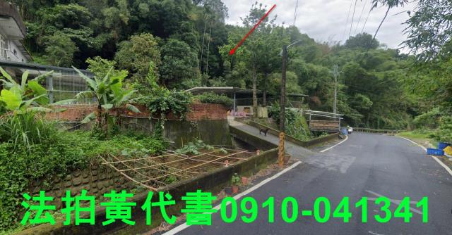 新竹法拍建地-9