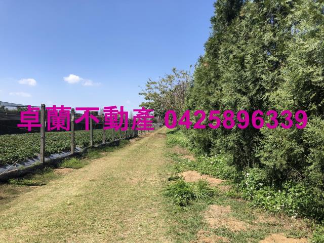 苗栗卓蘭農地-10