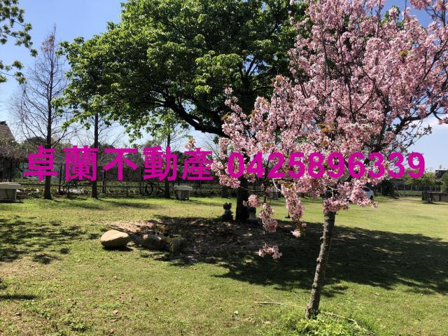 苗栗卓蘭農地-6