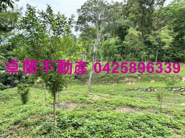 台中東勢農地-10