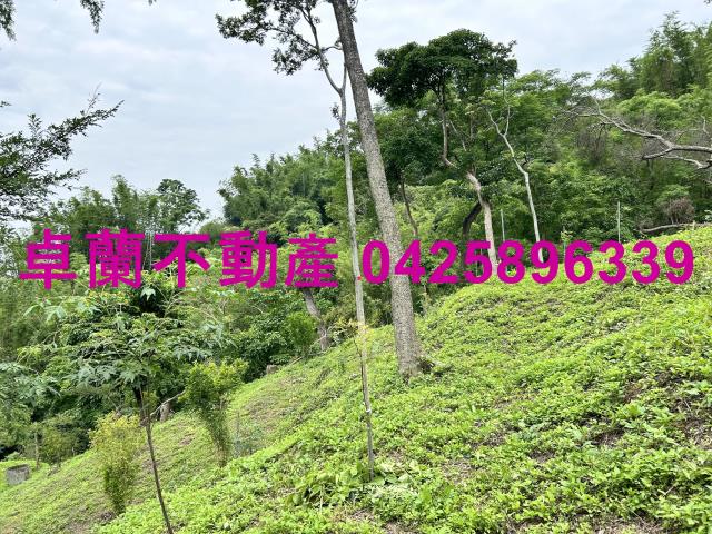 台中東勢農地-3