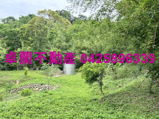 台中東勢農地-4