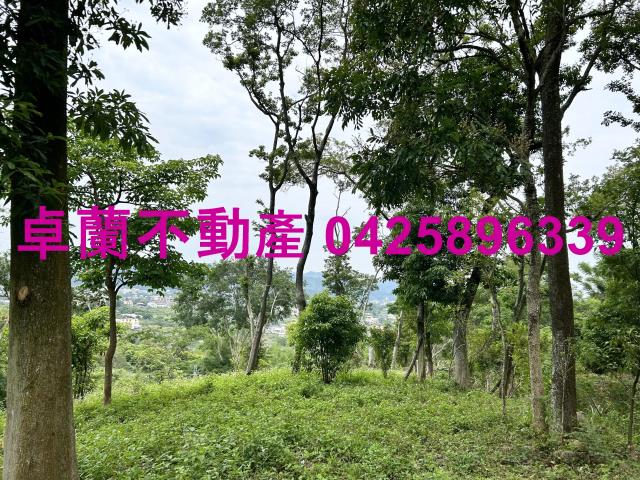 台中東勢農地-5