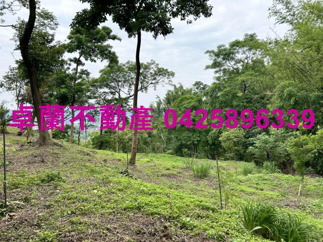 台中東勢農地-6