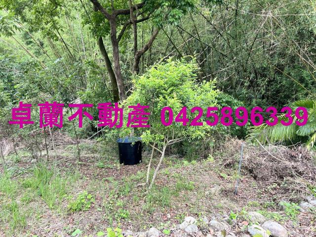 台中東勢農地-8