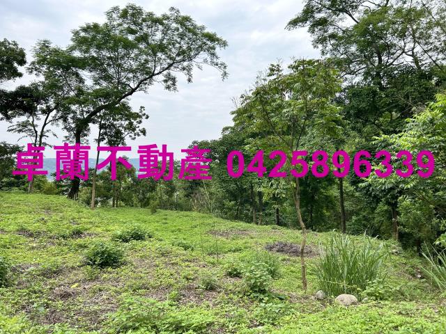 台中東勢農地-9