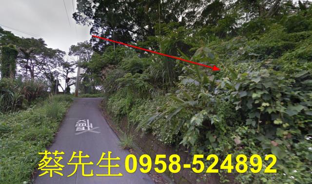 苗栗卓蘭農地拍賣-12