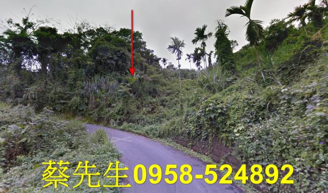苗栗卓蘭農地拍賣-15