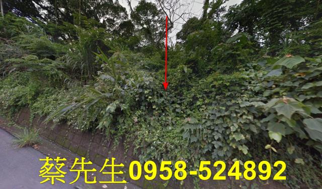 苗栗卓蘭農地拍賣-5