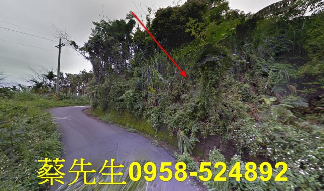 苗栗卓蘭農地拍賣-6