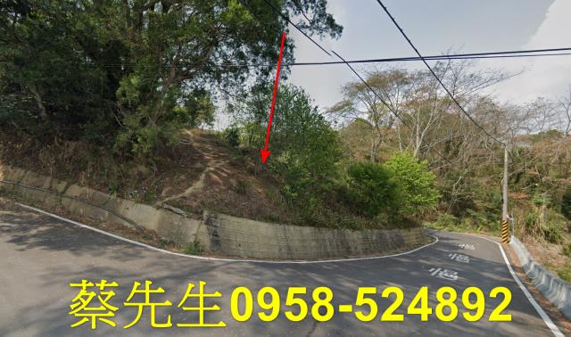 苗栗卓蘭農地拍賣-9