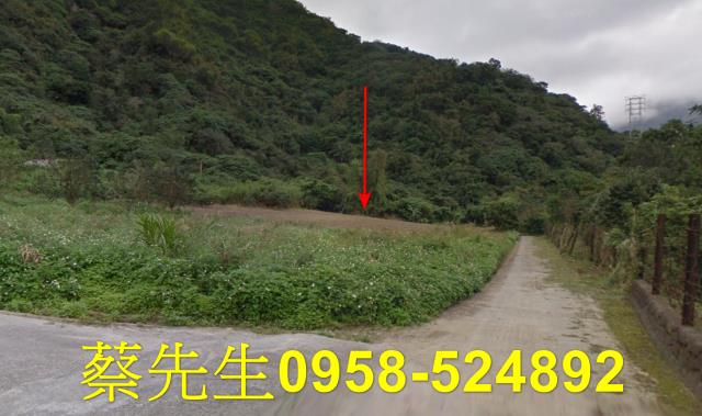 花蓮秀林農地法拍-6