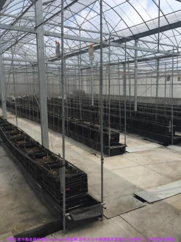 彰化花壇農地-2