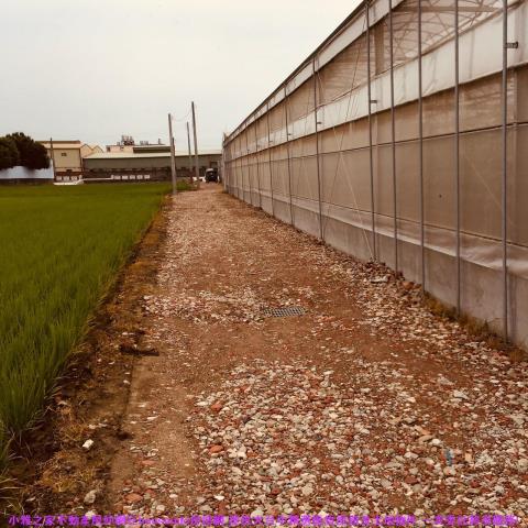 彰化花壇農地-4