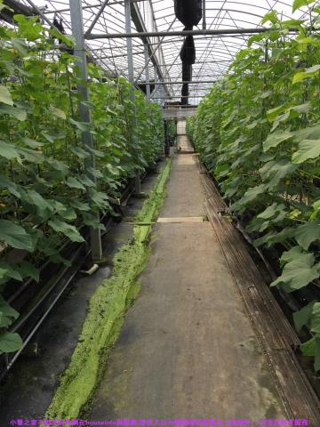 彰化花壇農地-7