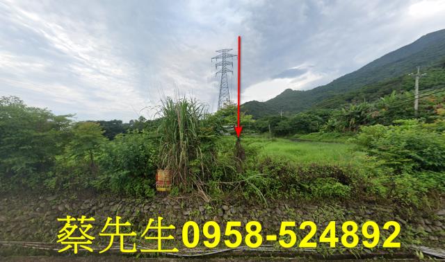 吉安法拍農地-4