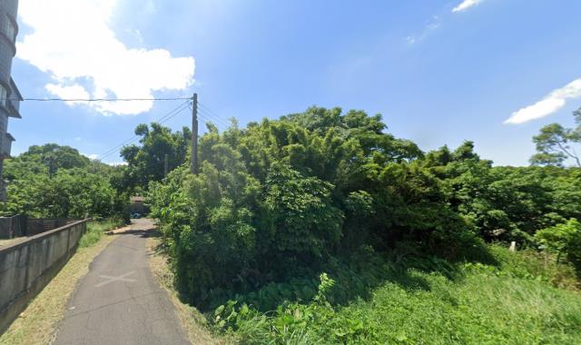 蘆竹法拍建地-13