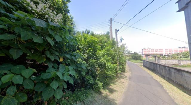 蘆竹法拍建地-5