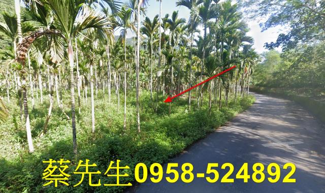 壽豐拍賣農地-12