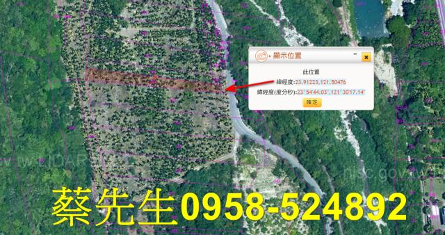 壽豐拍賣農地-3
