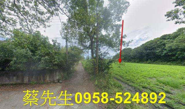 花蓮農地法拍-1